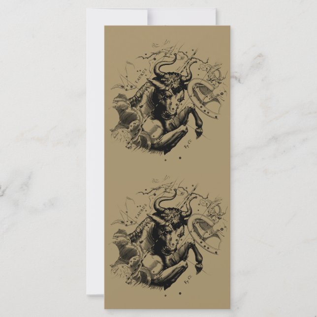 Taurus Constellation Hevelius 1690 Engraving (Devant)