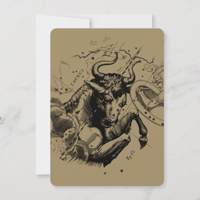 Taurus Constellation Hevelius 1690 Engraving (Devant)