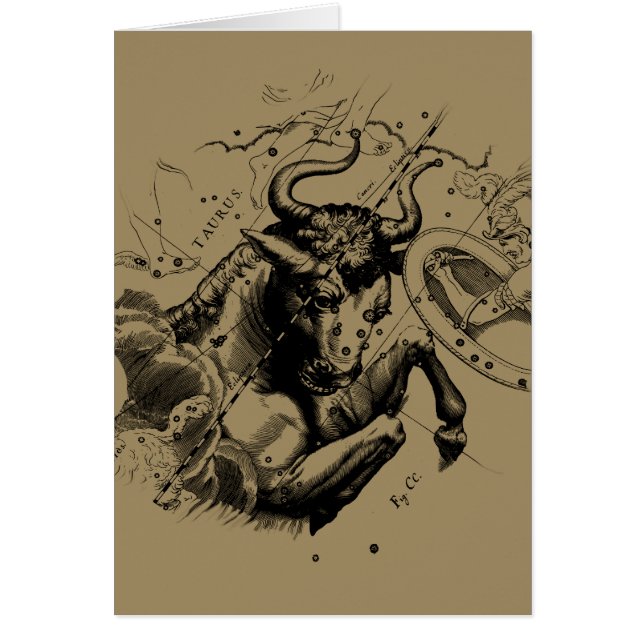 Taurus Zodiac Constellation Carte Hevelius 1690 (Devant)