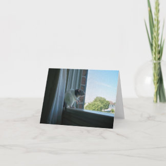 Taux contemplatif "Souhaitez-vous être ici" Carte 