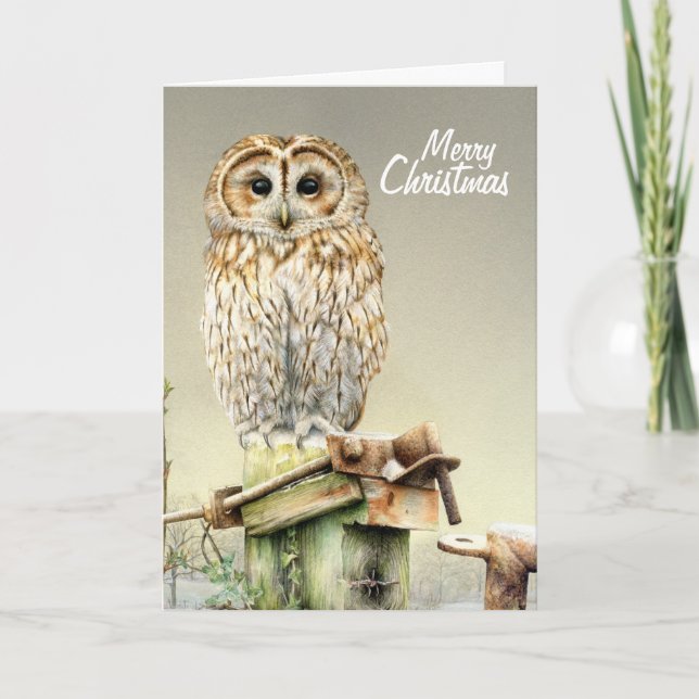 Tawny Owl dans la neige belle carte de Noël (Devant)
