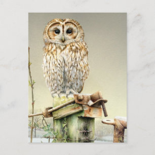 Tawny Owl dans l'aquarelle fine art neige carte po