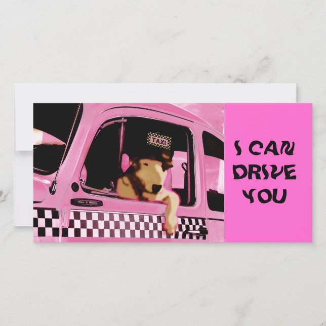 TAXI "chien" (Devant)