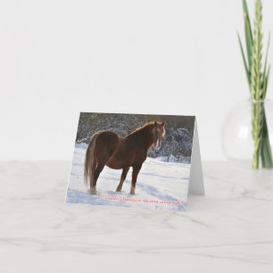 Tchèque, cheval dans la carte de Noël de neige