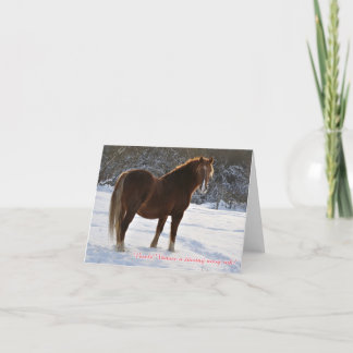 Tchèque, cheval dans la carte de Noël de neige