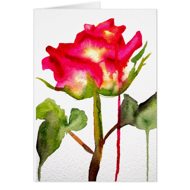 Tea hybride Rose aquarelle moderne fleurie art (Devant)