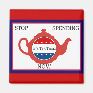 Tea Party Magnet politique