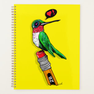 Teachers Pet Hummingbird Bird Watching