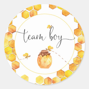 Team Boy Bee Thème Stickers de révélation de genre