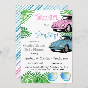 Team Girl Team Boy Car Genre Reveal Baby shower