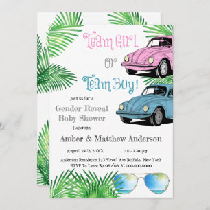 Team Girl Team Boy Car Genre Reveal Baby shower
