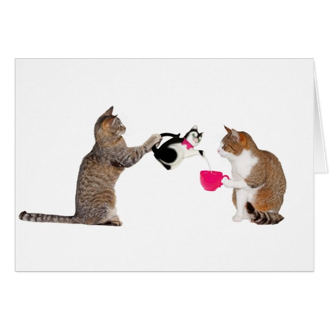 Teatime pour chats (Devant horizontal)