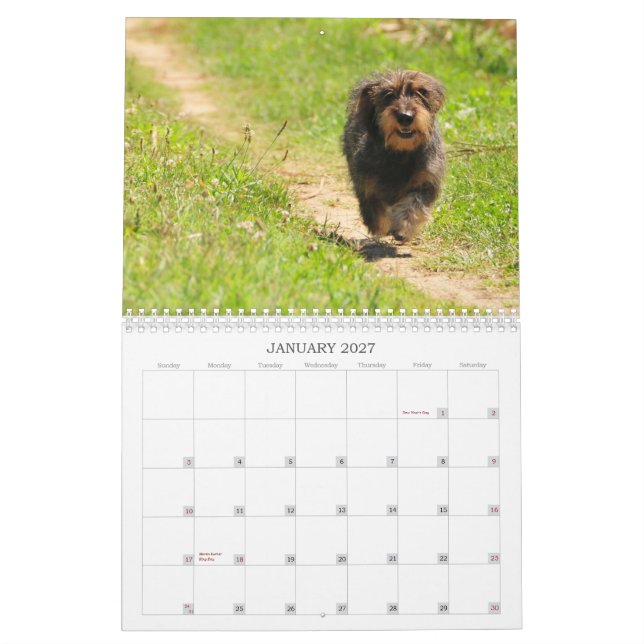 Teckel 2009 - calendrier personnalisable ! (Jan 2027)