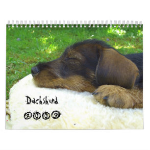 Teckel 2009 - calendrier personnalisable !