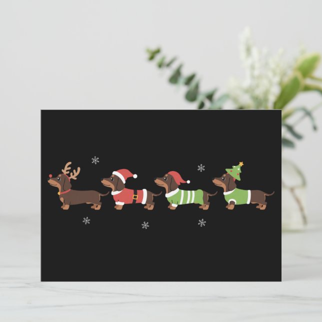 Teckels de Noël amateur de chien de Vienne vacance (Debout devant)