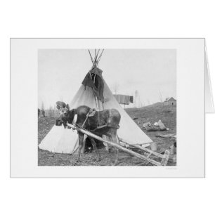 Teepee fonctionnant 1916 d'orignaux
