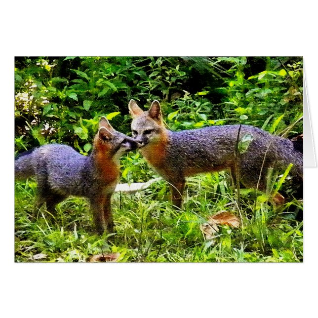 TEL PÈRE, TEL FILS (Devant Horizontal)