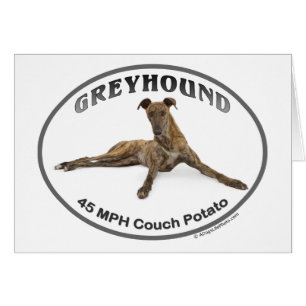 Téléphage de GVV 40MPH