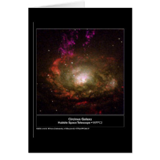 Télescope Circinus Galaxy Hubble