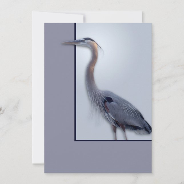 temp Blank Ann nouveau (Devant)