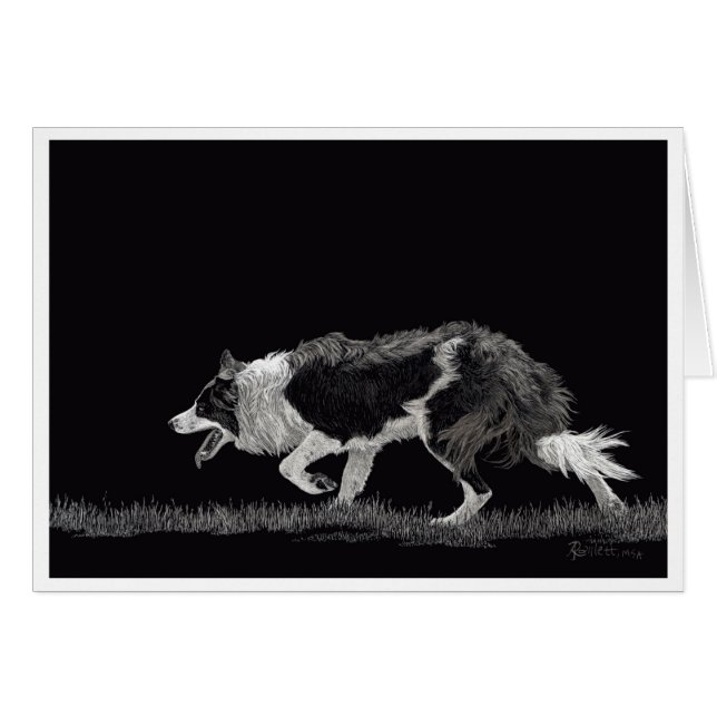 Tempérer la frontière Collie (Devant Horizontal)