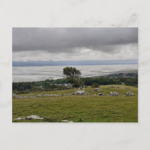 Tempête Dans La Baie Carte Postale