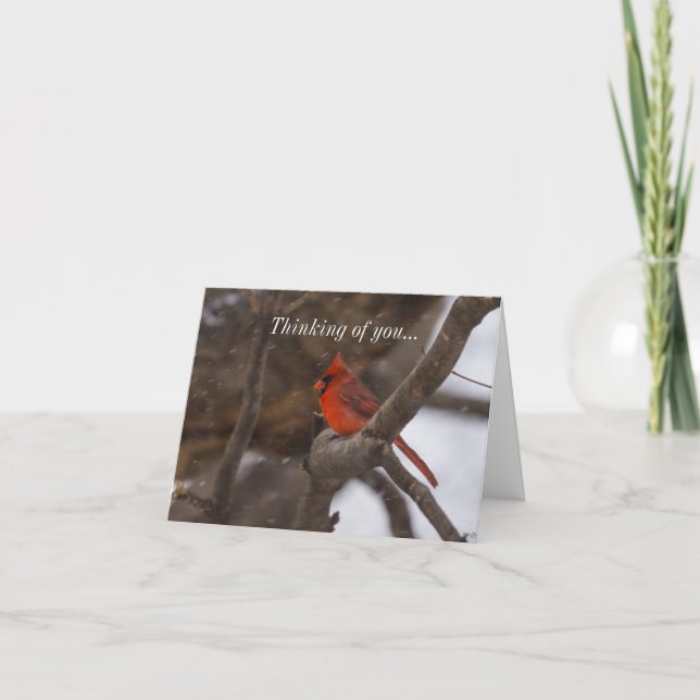 Tempête De Neige Cardinal Penser À Votre Carte (Devant)