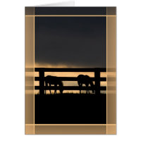 Tempête imminente de la ferme Stallion