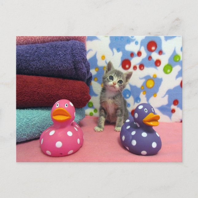 Temps de bain avec Aidan - Carte postale Ccat (Devant)