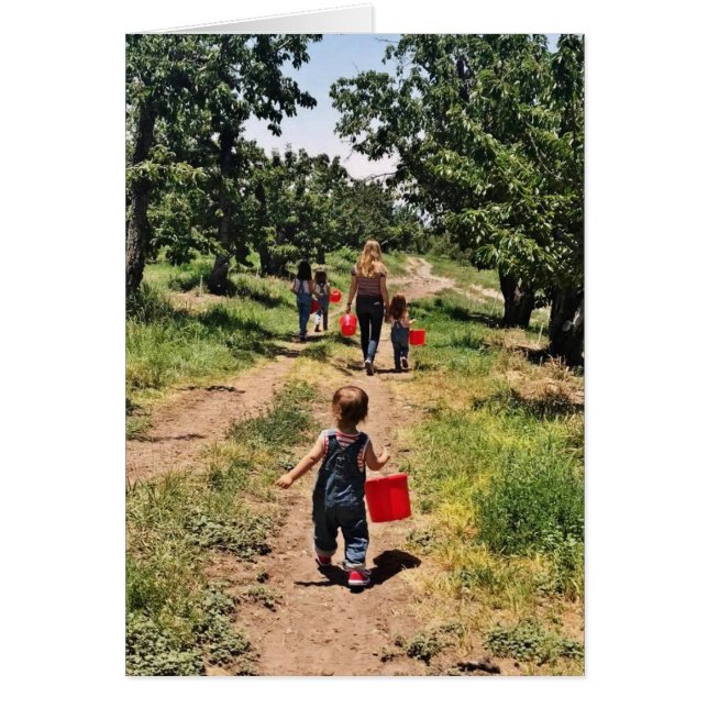 Temps de cueillette des cerises (Devant)