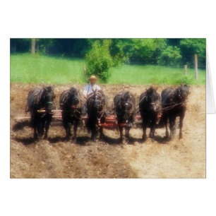 Temps de plantation