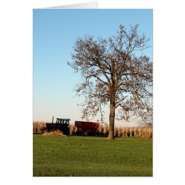 Temps de récolte 2 (Devant)