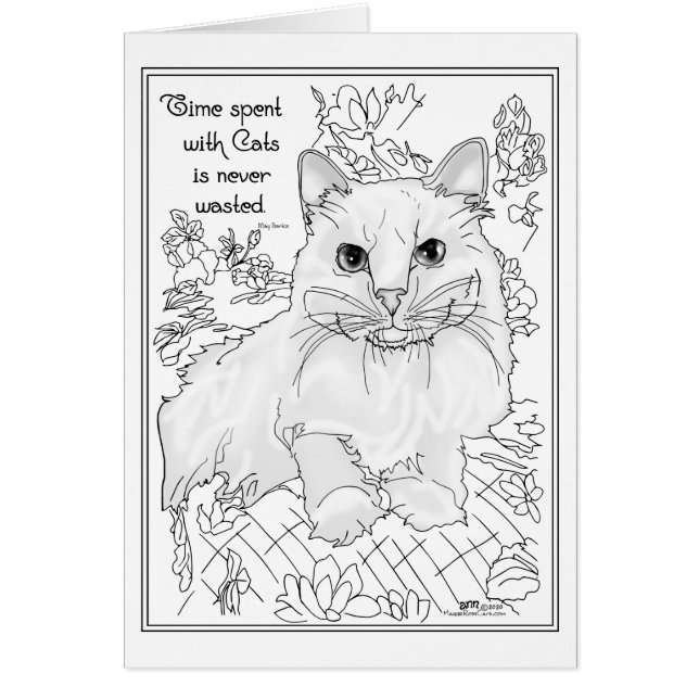 Temps Passé Avec Les Chats (Devant)