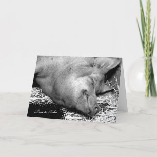 Temps pour se détendre Cochon - Carte de retrait v