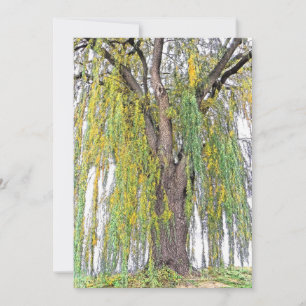 TENDRILES VERTES ET SAUVAGES/JAUNES ET VERTS