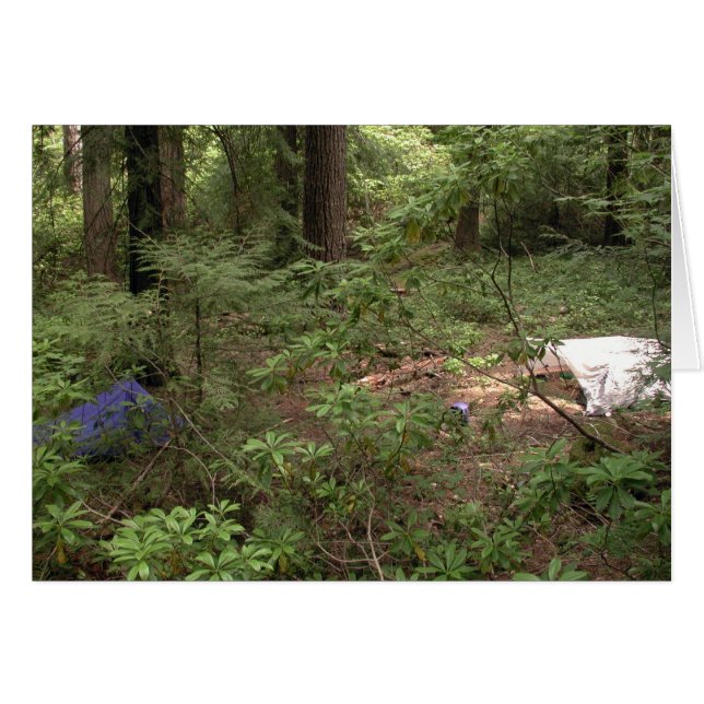 Tentes Camping (Devant horizontal)