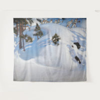 Akseli Gallen-Kallela - Février Vision