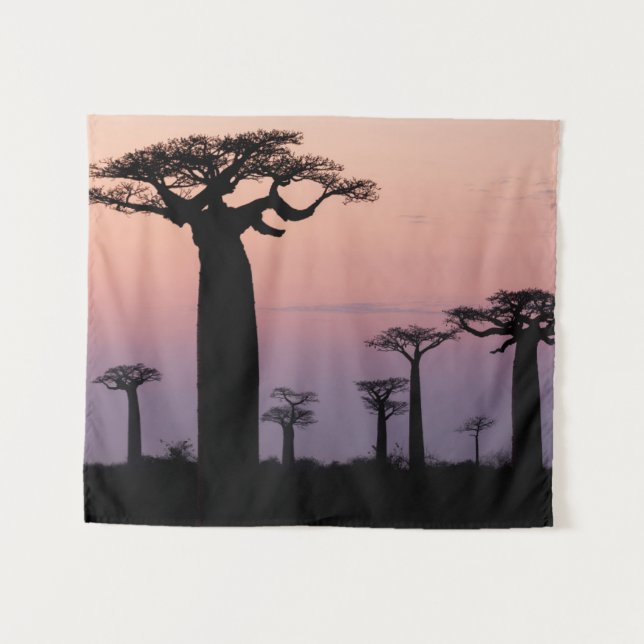 Tenture Allée des Baobabs, Madagascar, Morondava, Afrique, (Devant (Horizontal))