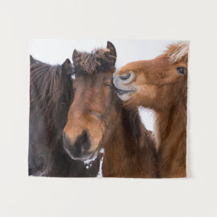 Tenture Amis du cheval islandais, Islande