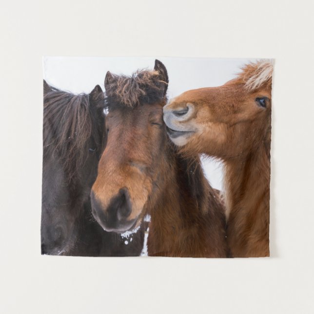 Tenture Amis du cheval islandais, Islande (Devant (Horizontal))