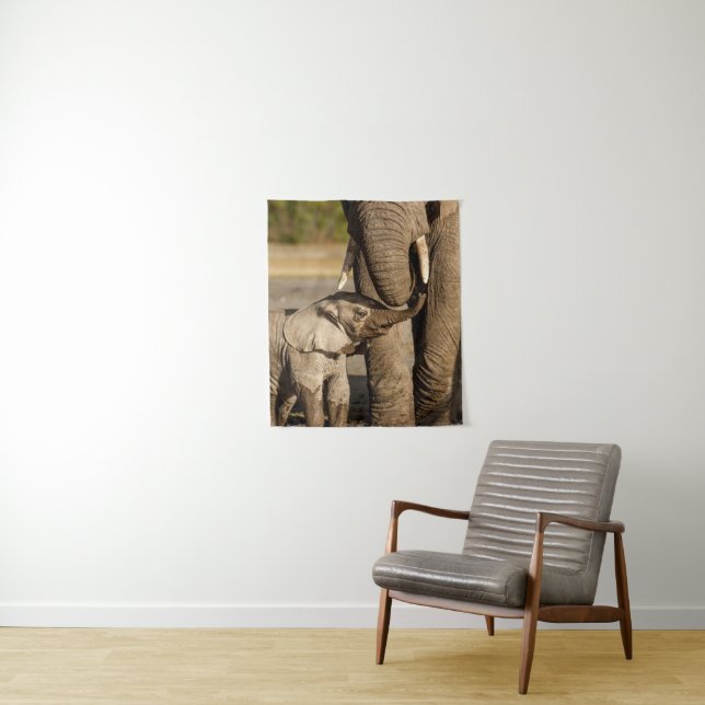 Tenture Animaux de bébés cutest | Baby Elephant & Mama (En situation)