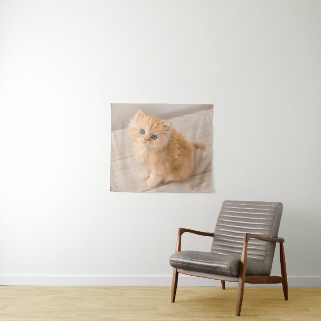 Tenture Animaux de bébés cutest | British Longhair Kitten (En situation (horizontale))