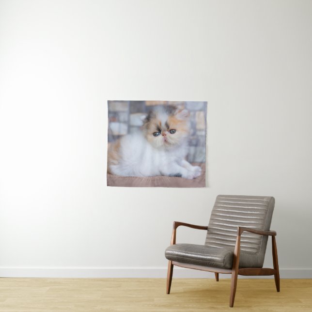 Tenture Animaux de bébés cutest | Calico Persian Kitten (En situation (horizontale))