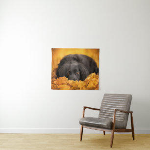 Tenture Animaux de bébés cutest Chiot noir espagnol