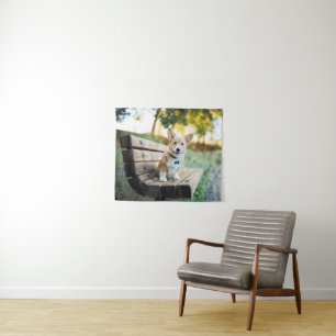 Tenture Animaux de bébés cutest   Corgi Puppy sur un banc 