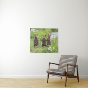 Tenture Animaux de bébés cutest Cubes d'ours Brown Kamch