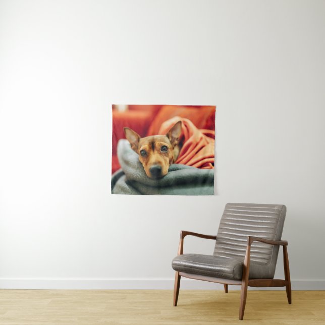 Tenture Animaux de bébés cutest | Miniature Pinscher (En situation (horizontale))