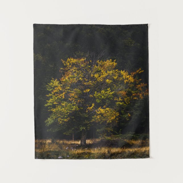 Tenture Arbre de couleur automne (Devant)
