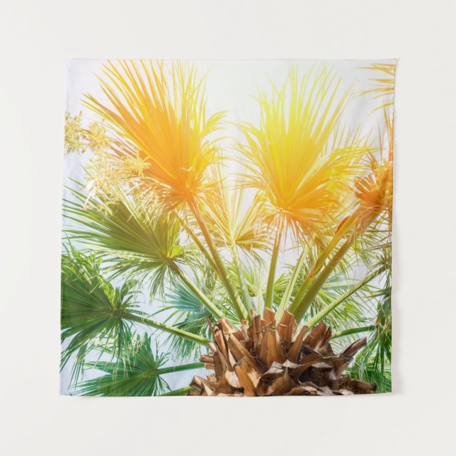 Tenture Arbre palmier soleil brillant arrière - plan d'été (Devant)