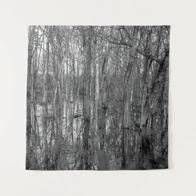 Tenture Arbres dans une forêt en noir et blanc. beauté dan (Devant)